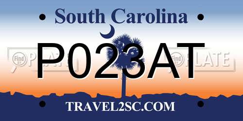 P023AT South Carolina License Plate
