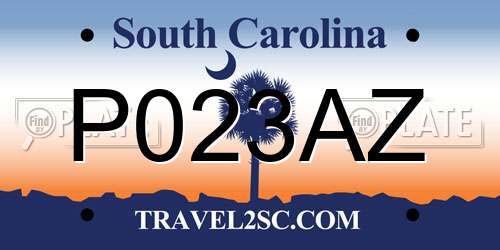 P023AZ South Carolina License Plate
