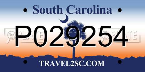 P029254 South Carolina License Plate