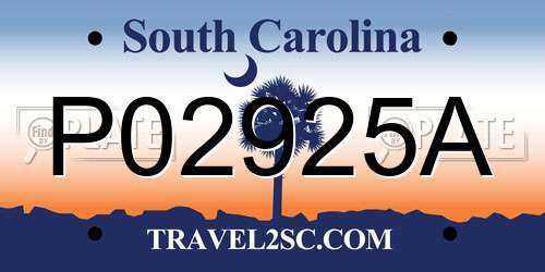 P02925A South Carolina License Plate