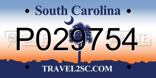 P029754 South Carolina License Plate