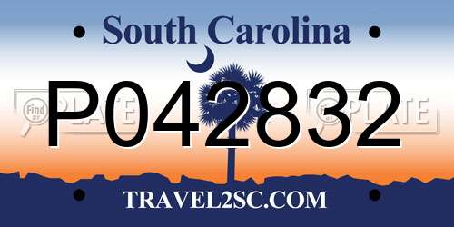 P042832 South Carolina License Plate
