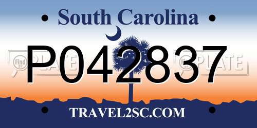 P042837 South Carolina License Plate