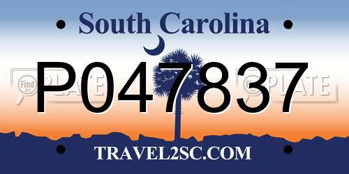 P047837 South Carolina License Plate