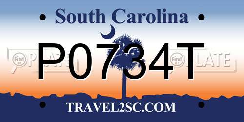P0734T South Carolina License Plate