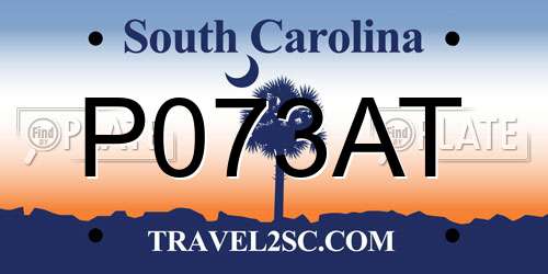 P073AT South Carolina License Plate