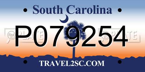 P079254 South Carolina License Plate