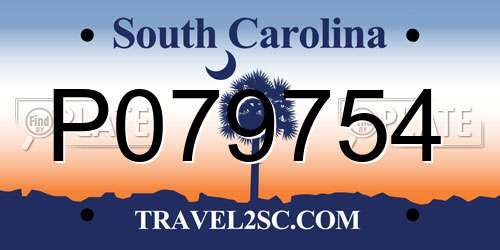 P079754 South Carolina License Plate