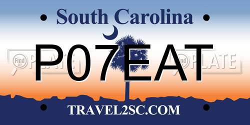 P07EAT South Carolina License Plate