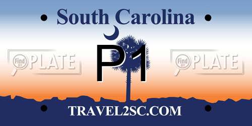 P1 South Carolina License Plate