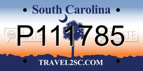 P111785 South Carolina License Plate