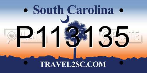 P113135 South Carolina License Plate