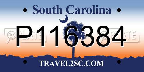 P116384 South Carolina License Plate