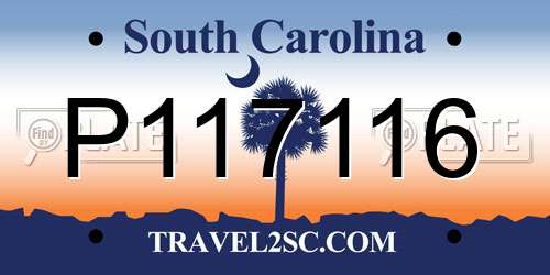 P117116 South Carolina License Plate