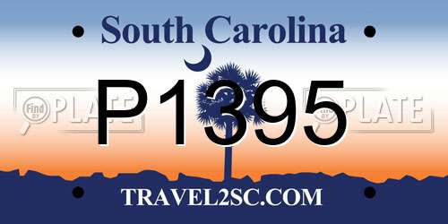 P1395 South Carolina License Plate