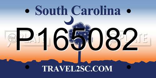 P165082 South Carolina License Plate