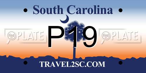 P19 South Carolina License Plate