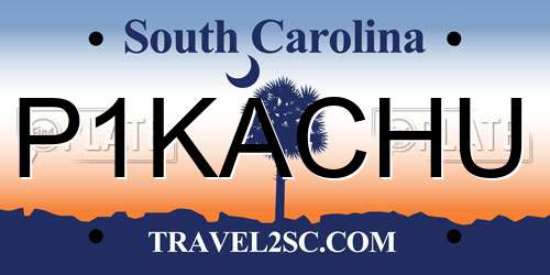 P1KACHU South Carolina License Plate