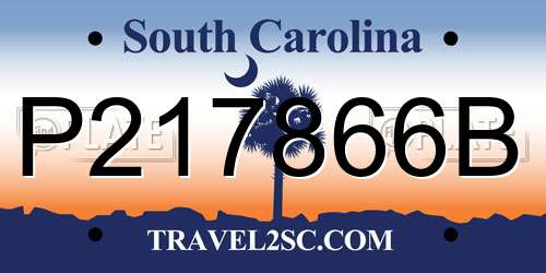 P217866B South Carolina License Plate