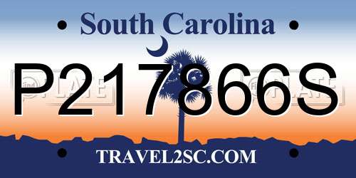 P217866S South Carolina License Plate