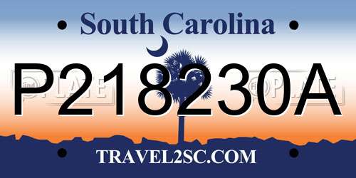 P218230A South Carolina License Plate