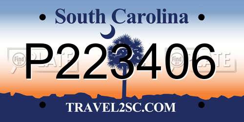 P223406 South Carolina License Plate