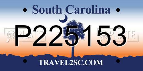 P225153 South Carolina License Plate