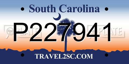 P227941 South Carolina License Plate
