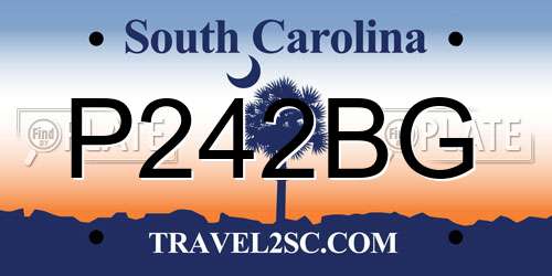 P242BG South Carolina License Plate