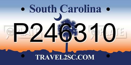 P246310 South Carolina License Plate