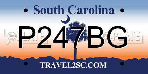 P247BG South Carolina License Plate