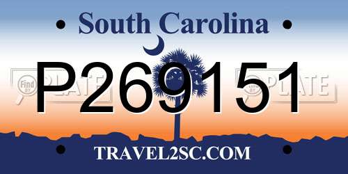 P269151 South Carolina License Plate