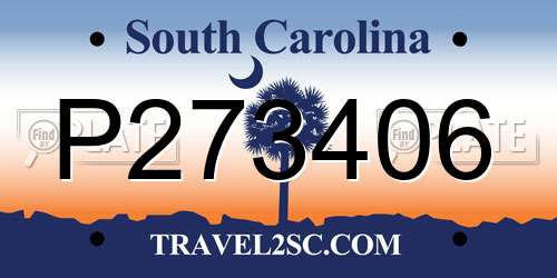 P273406 South Carolina License Plate