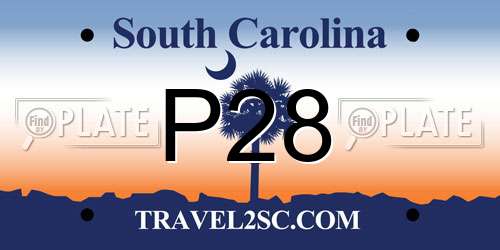 P28 South Carolina License Plate