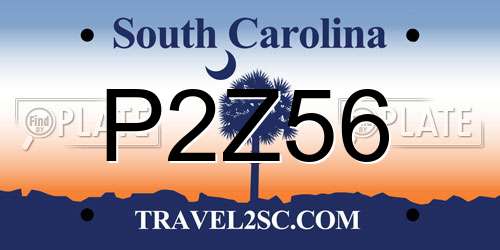 P2Z56 South Carolina License Plate