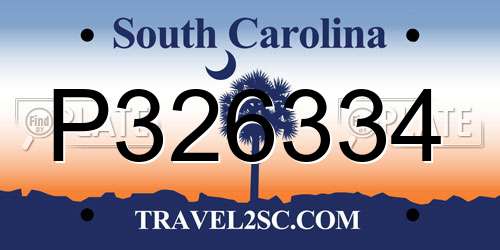 P326334 South Carolina License Plate