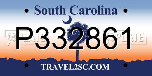 P332861 South Carolina License Plate