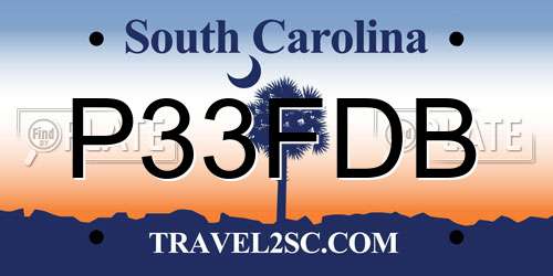 P33FDB South Carolina License Plate