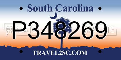 P348269 South Carolina License Plate