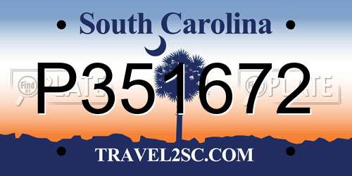 P351672 South Carolina License Plate