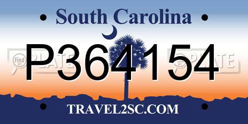 P364154 South Carolina License Plate