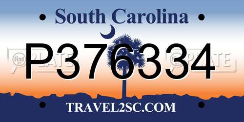 P376334 South Carolina License Plate