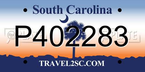 P402283 South Carolina License Plate