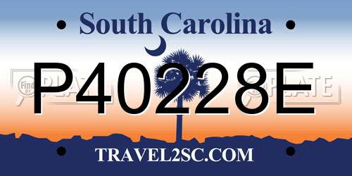 P40228E South Carolina License Plate