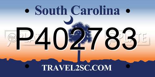 P402783 South Carolina License Plate