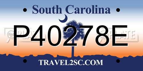 P40278E South Carolina License Plate