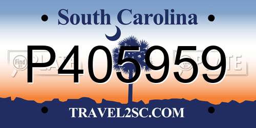 P405959 South Carolina License Plate