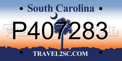 P407283 South Carolina License Plate