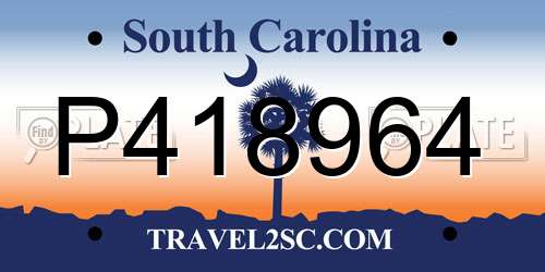 P418964 South Carolina License Plate