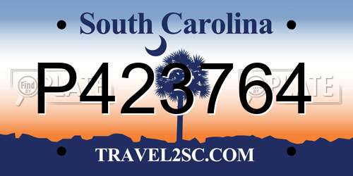 P423764 South Carolina License Plate